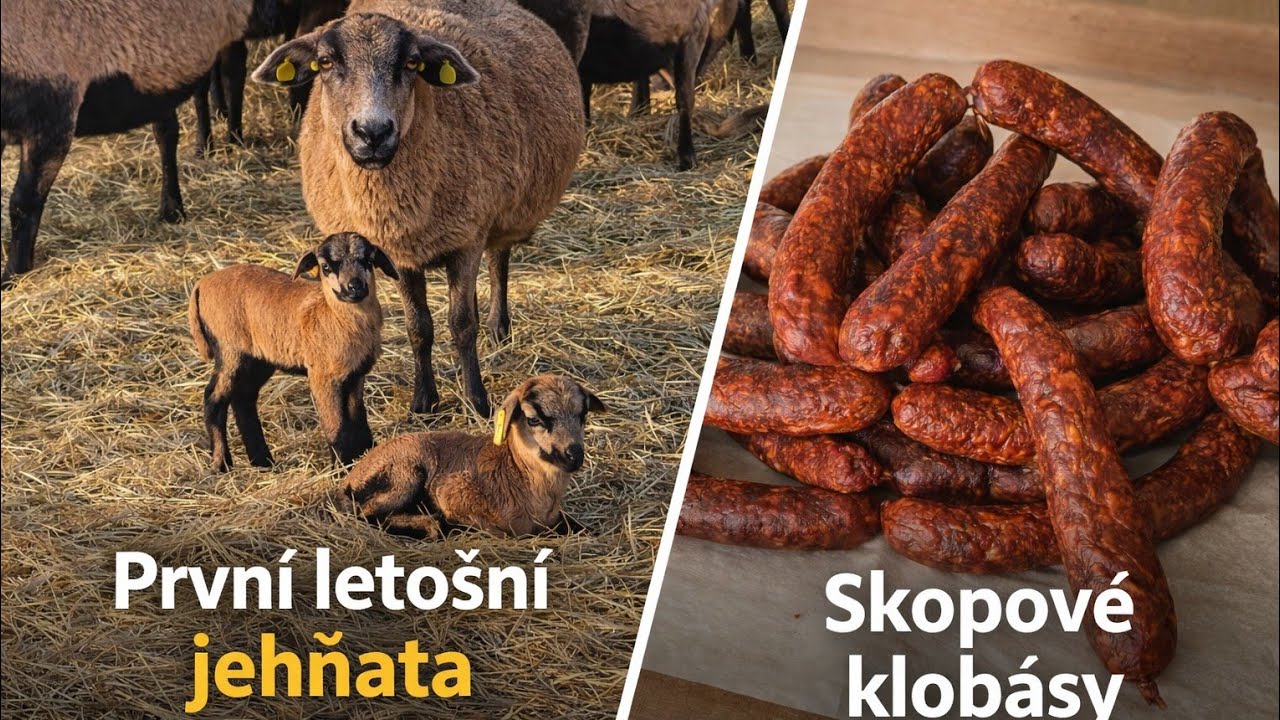 Skopové klobásy