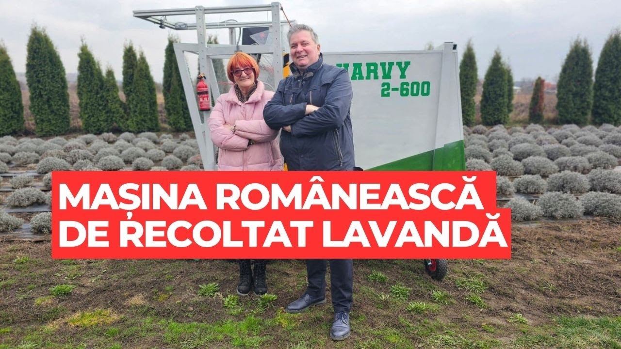 Mașina românească de recoltat lavandă