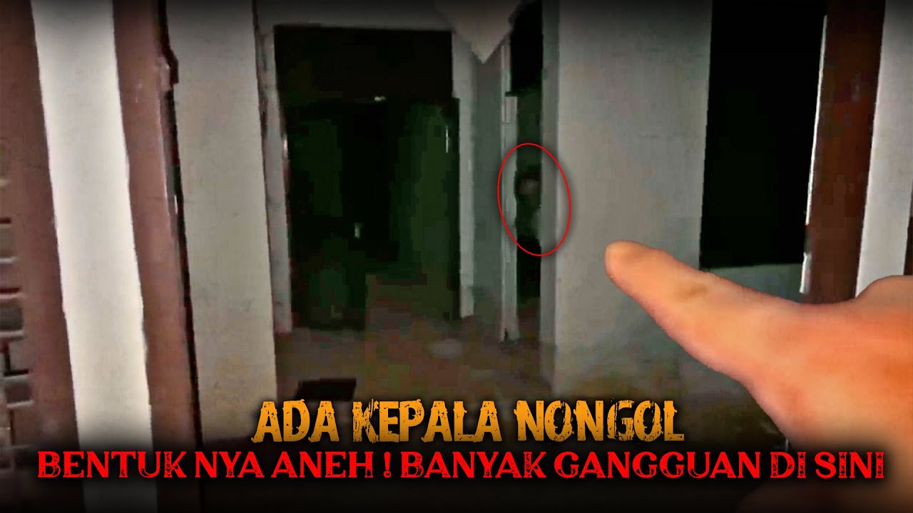 GANGGUAN GAIBNYA BERTUBI TUBI