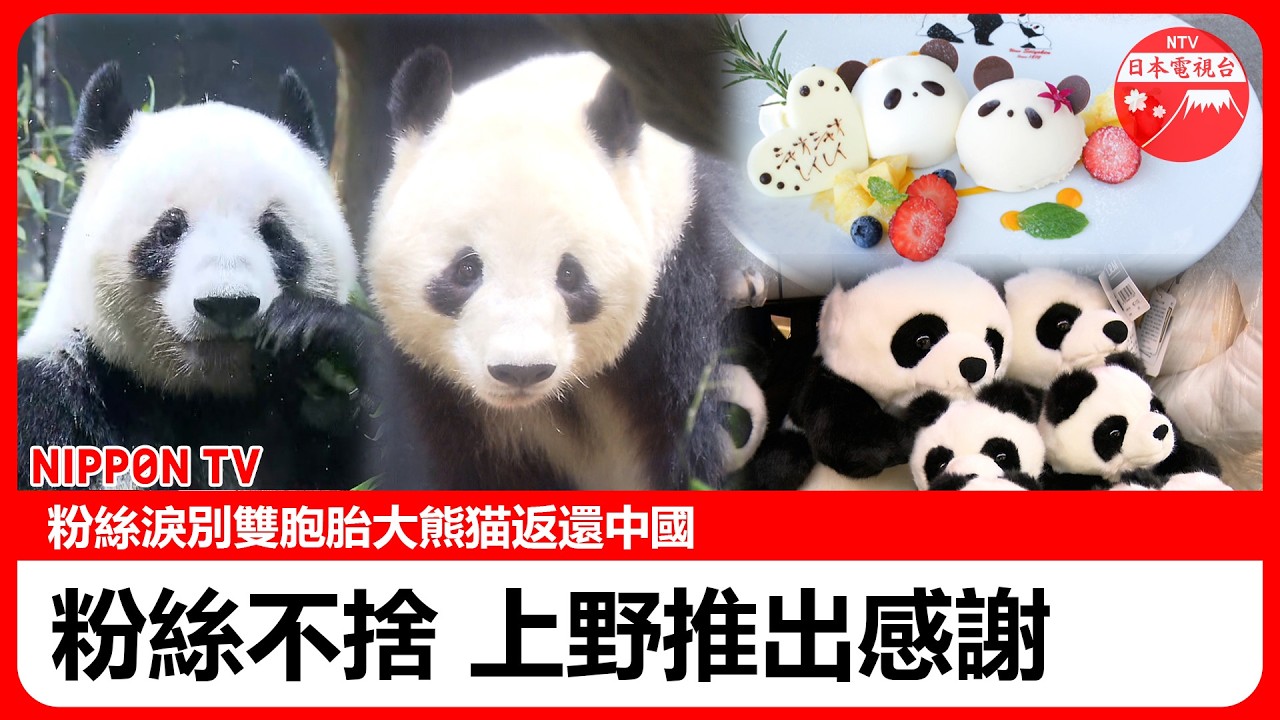 【大熊猫返還中國】淚別雙胞胎　”大熊猫之城”上野各處推出暖心感謝大熊猫菜單商品