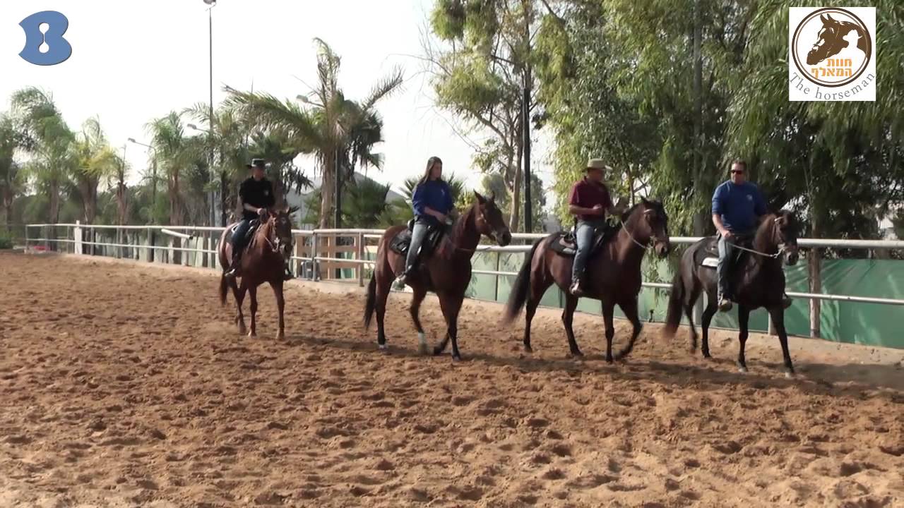 חוות המאלף - רחובות - b144