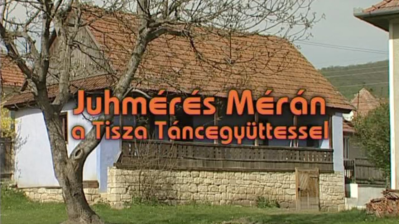 JUHMÉRÉS MÉRÁN a Tisza Táncegyüttessel