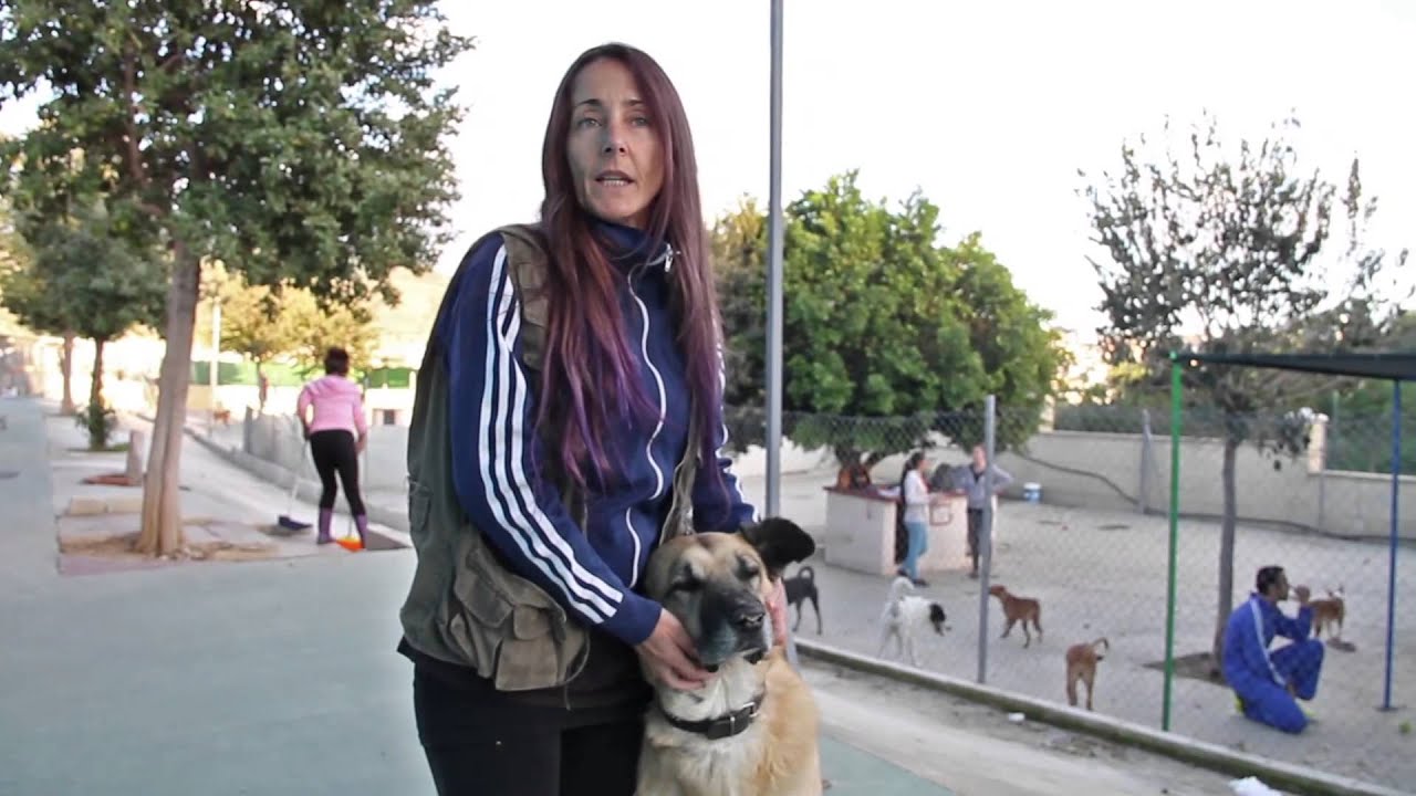 Reportaje Protectora de Animales y Plantas de Málaga