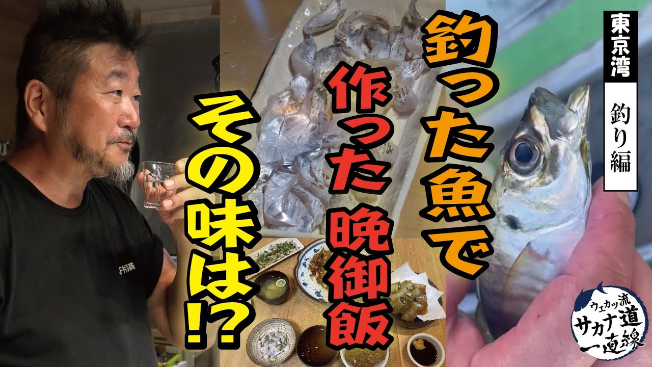 【東京湾 釣り編】東京湾で釣ったアジとタチウオで晩ご飯！実食編