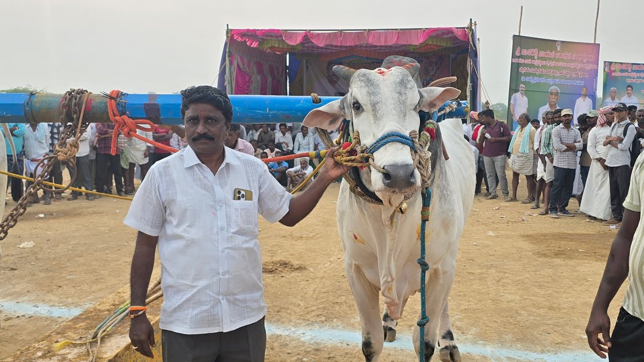 పామిడి న్యూ క్యాటగిరి విభాగంలో 11 va jatha