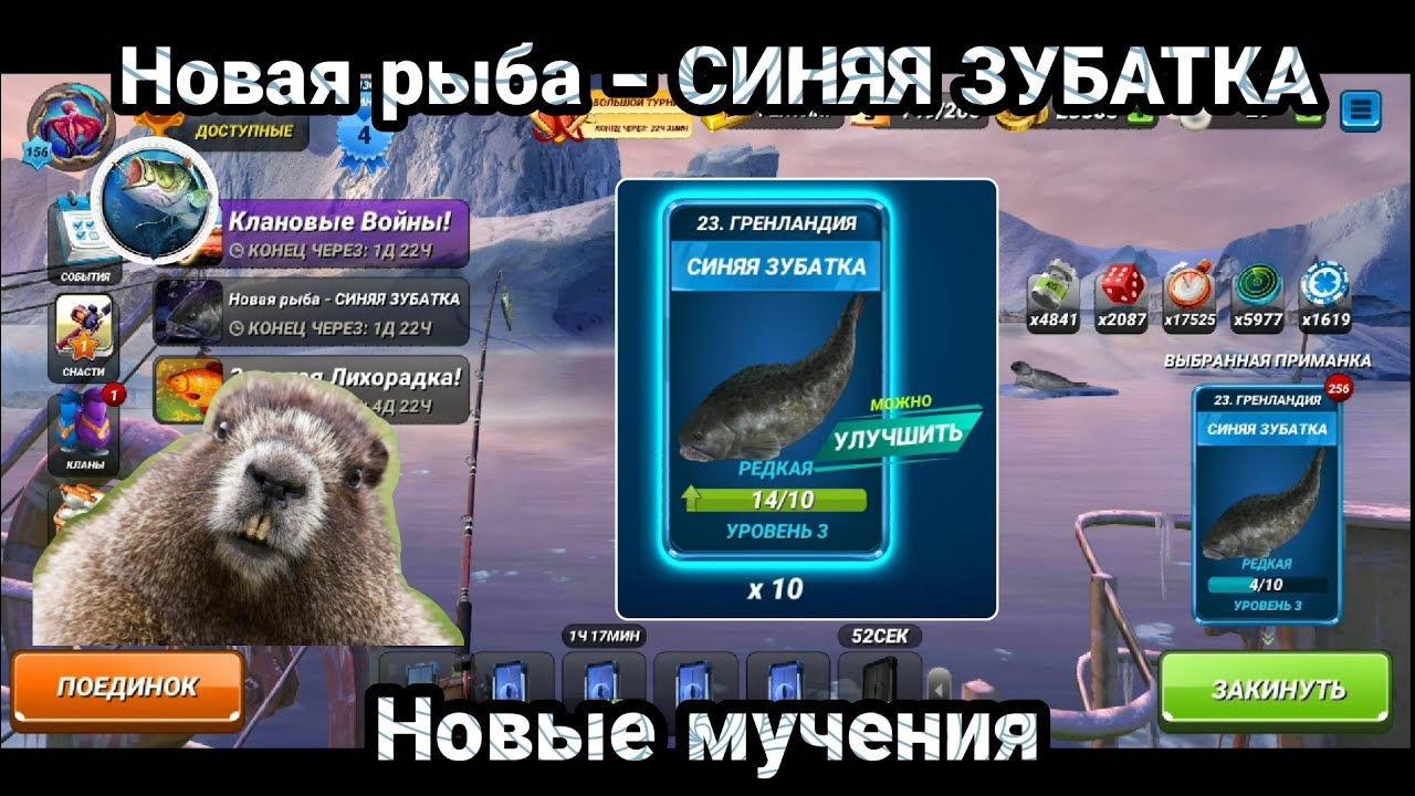 Новая рыба - СИНЯЯ ЗУБАТКА / Новые мучения / Fishing Clash: Реальная рыбалка