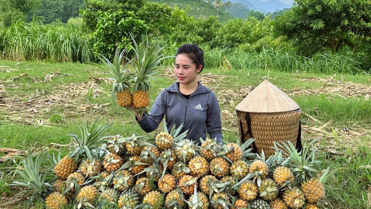 Harvest fragrant pineapples and bring them to the market to sell and cook