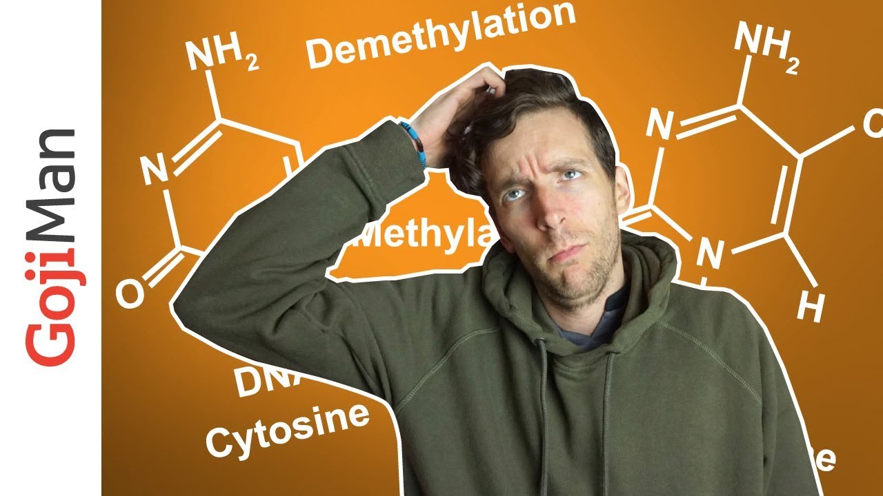 Why Vegans Need To Understand Methylation & MTHFR