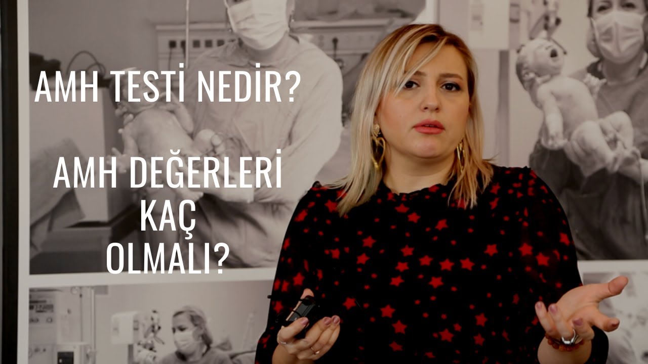 AMH Testi Nedir? Amh Testi Sonuçları Nasıl Yorumlanır? Amh Testi Kaç Olmalı?