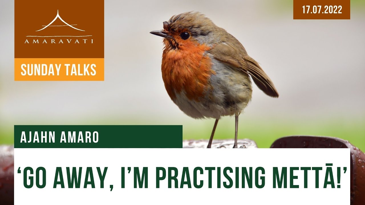 ‘Go away, I’m practising mettā!’ | Ajahn Amaro | 17.07.2022