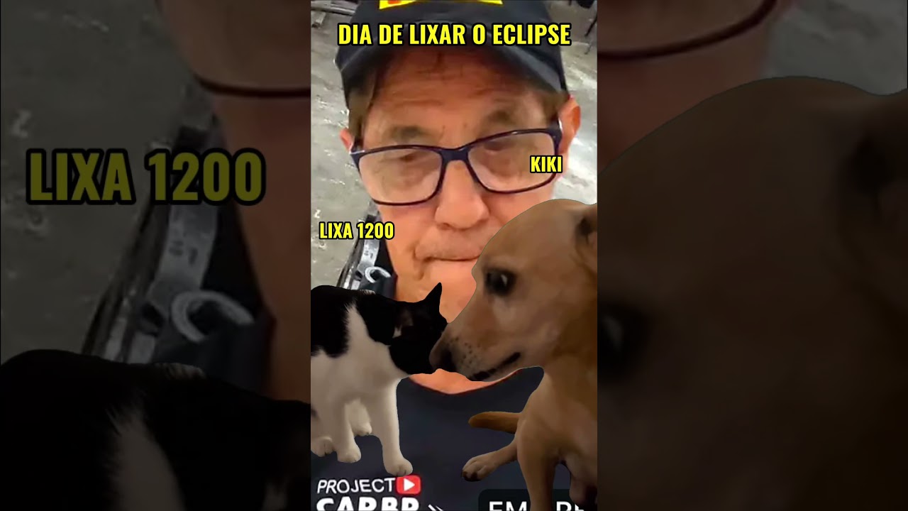 KIKI e seu medo de lixa kkkk #automobile #projectcarbrasil #bage #fastandfurious #projectcarbr