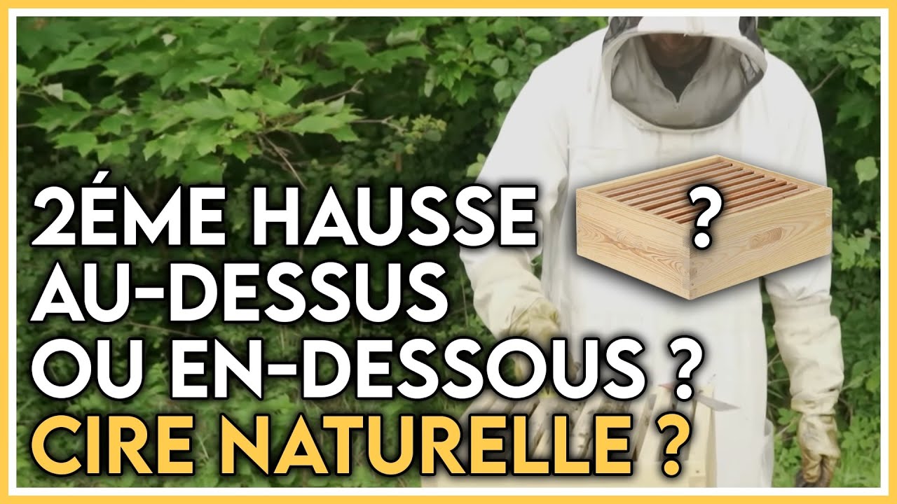 2éme hausse au-dessus ou en-dessous, construction et cire naturelle ???