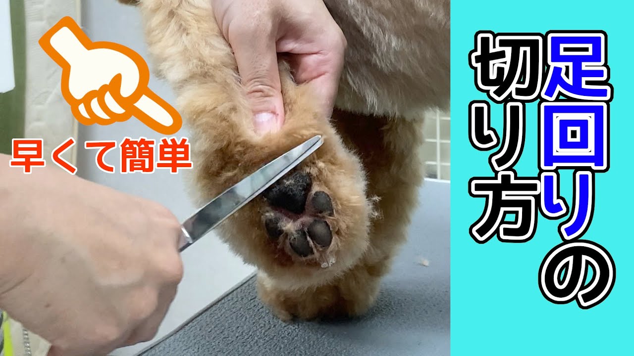 #61  【足回り】基本のカット