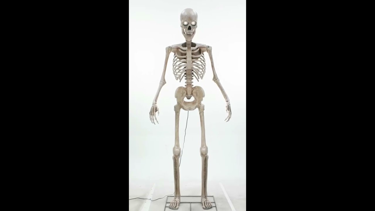 Halloween Skelett - Animatronic mit 243cm
