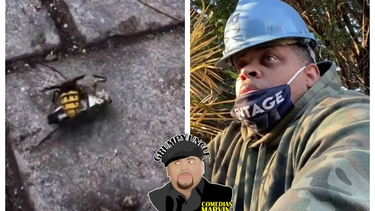Marvin Hunter Speaks - Murder Hornets at the job site.