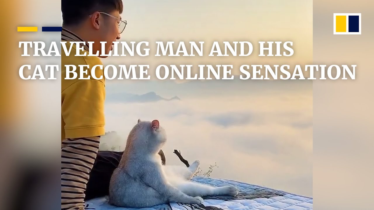 Man and his cat, travelling across China, become online sensation
