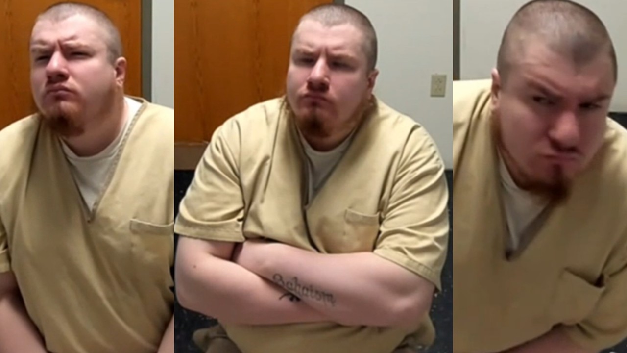 Giant Stalker Manbaby | On The News Again!
