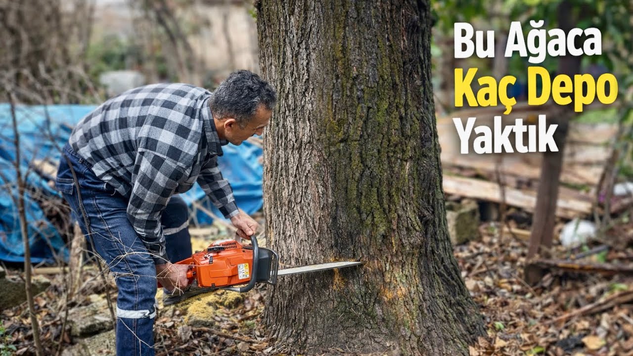 Dev Ağaca Kaç Depo Benzin Yaktı ? 😱