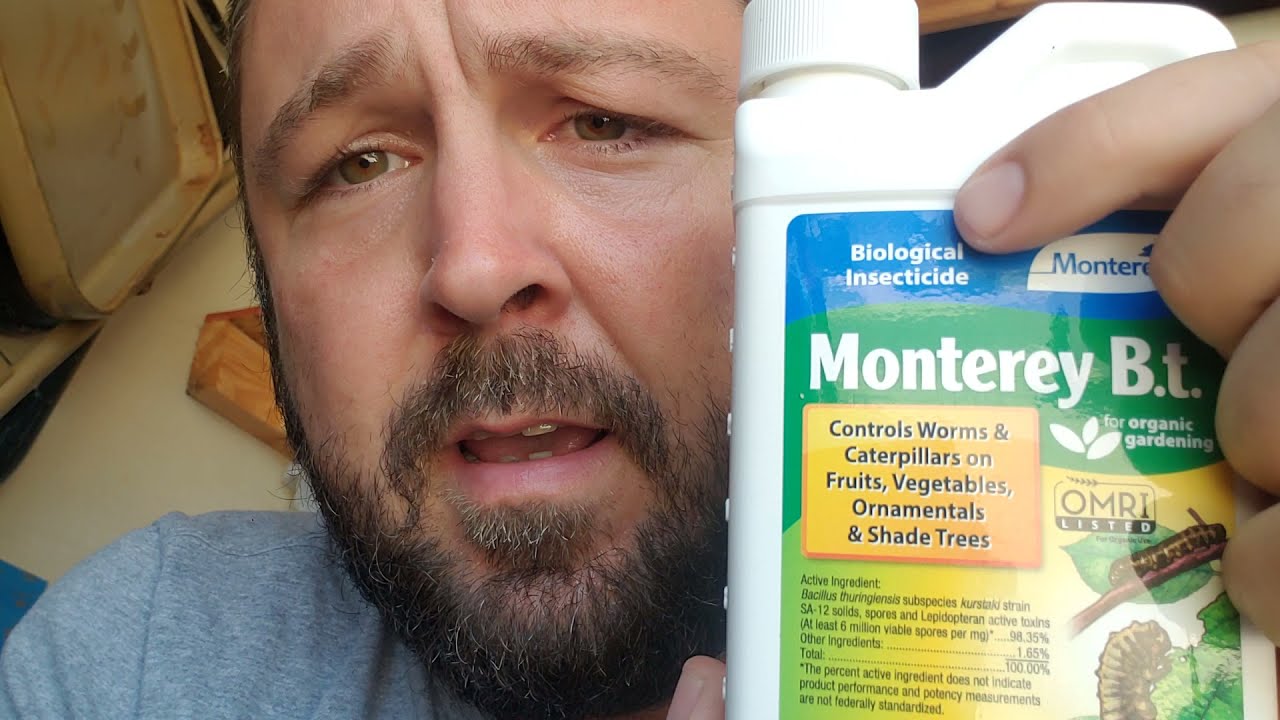 What is BT? Why do I use it on my plants?
