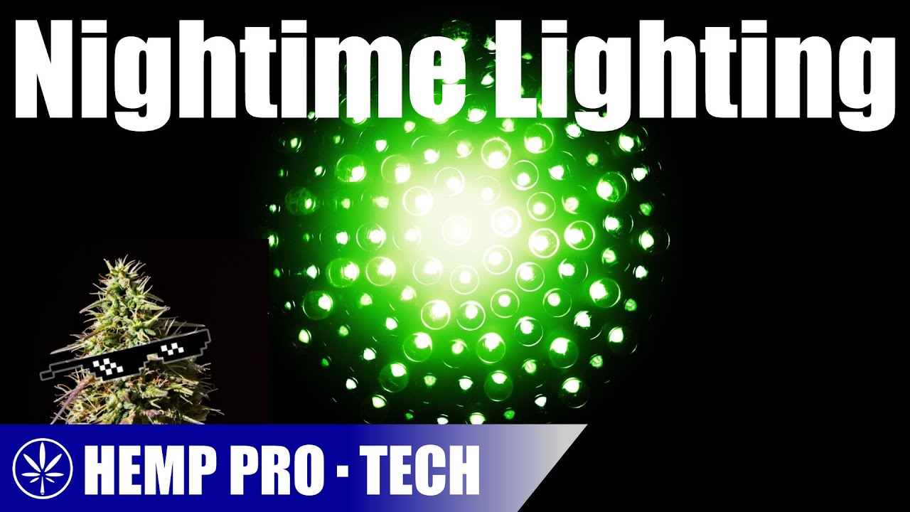 Night Time Lighting Options For Hemp