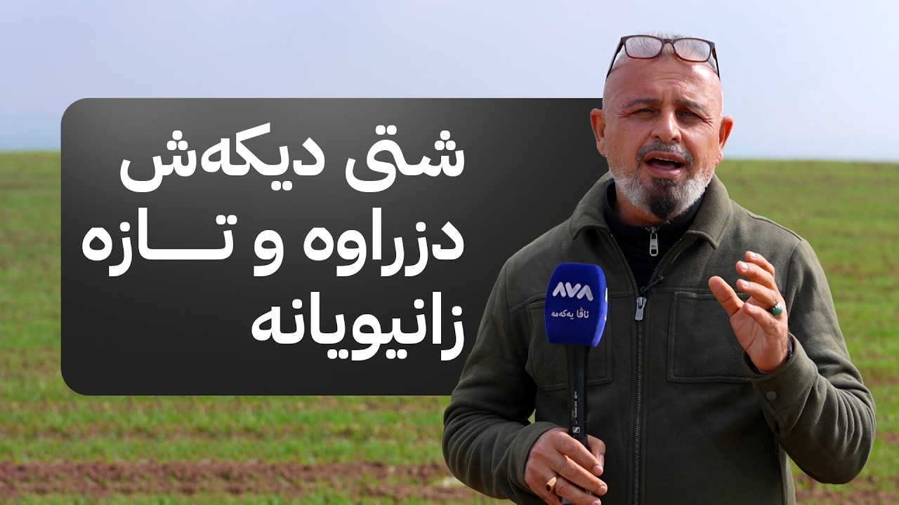 بە ڕزگار بڵێ؛ دزینی محاویلەی کارەبا لە گوندێکی هەولێر