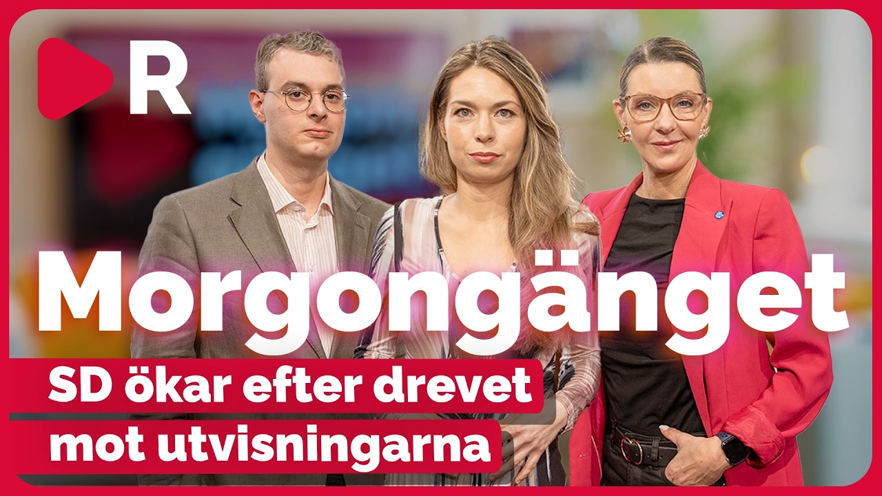 Morgongänget: SD ökar efter drevet mot utvisningarna