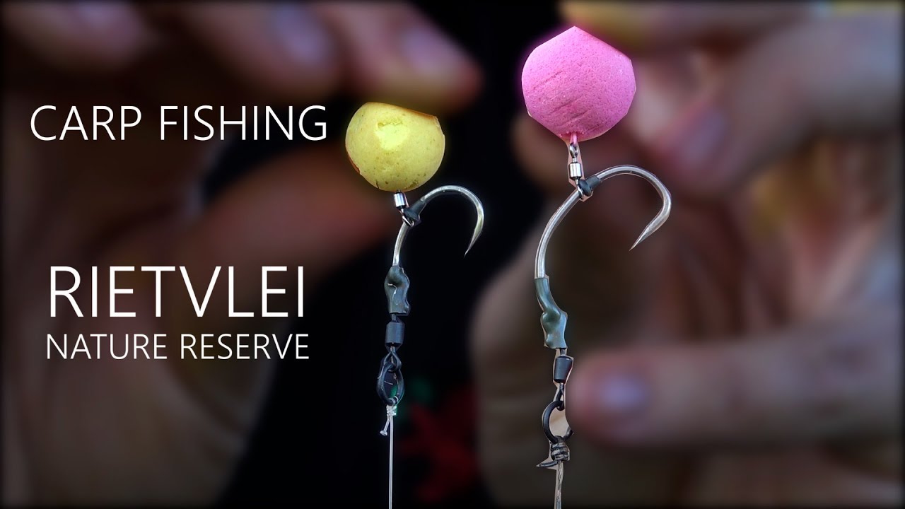 Carp Fishing, Rietvlei Nature Reserve, South Africa