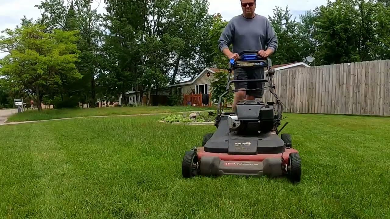 Do or Don't Dethatch Lawn Test, Week 4