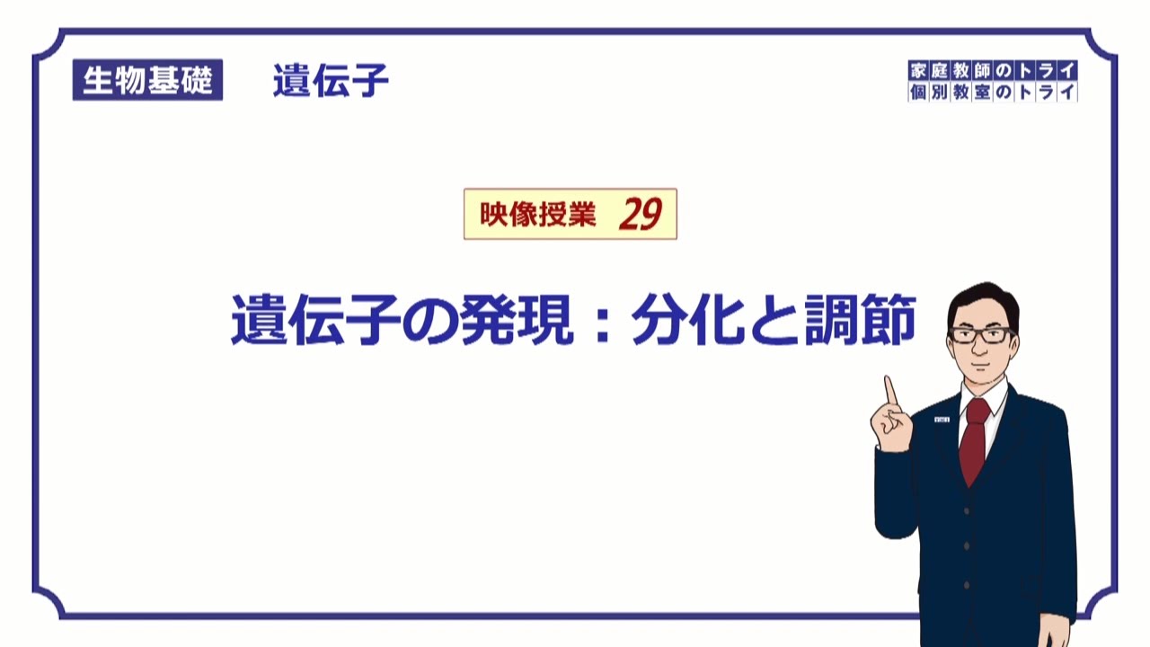 【生物基礎】　遺伝子29　分化と調節　（１２分）