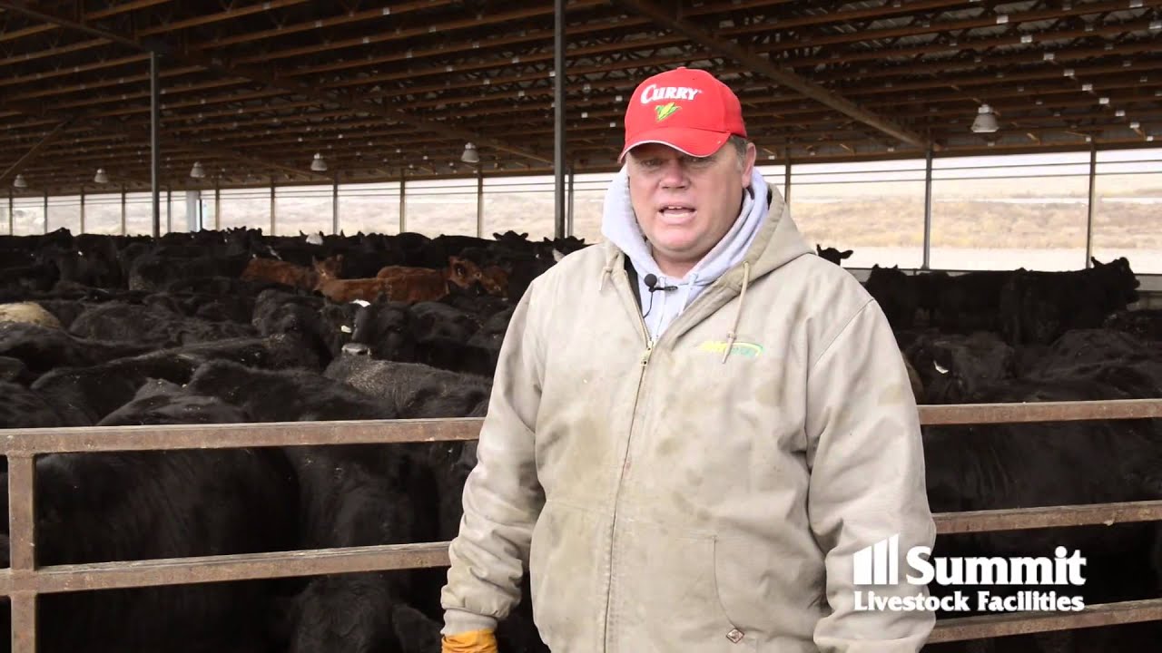 Brent Lorimor talks about his return on his investment on his monoslope beef barn