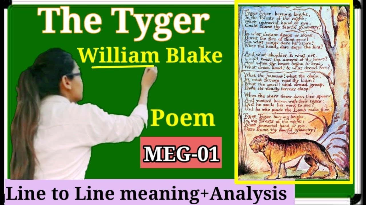 poem,The Tyger By William Blake Explanation line to line in hindi