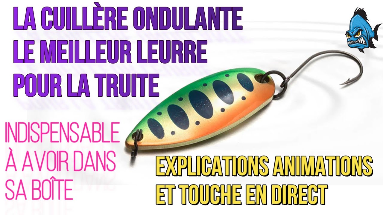 la cuillère ondulante : le leurre le plus efficace pour la truite
