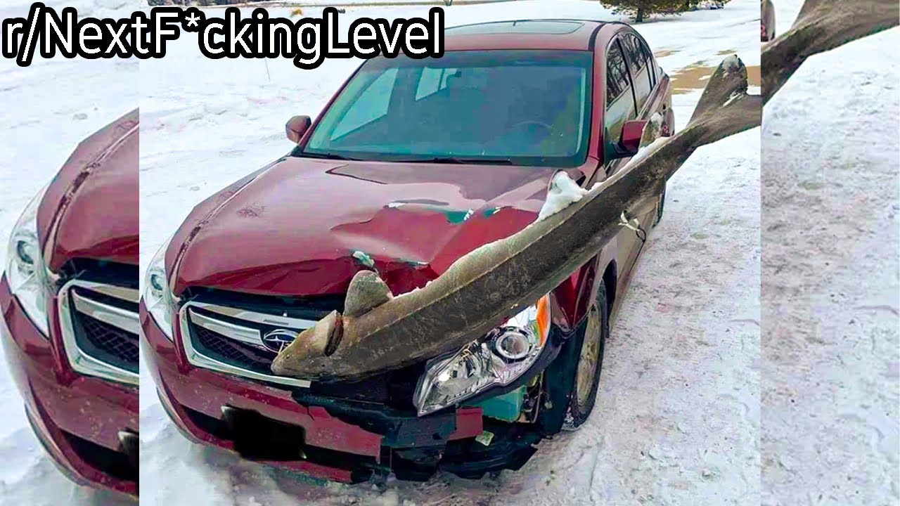 r/NextF*ckingLevel | How did a Shark get there??