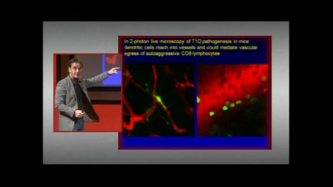 Attack of the Beta Cells: Matthias Von Herrath, M.D. at TEDxDelMar