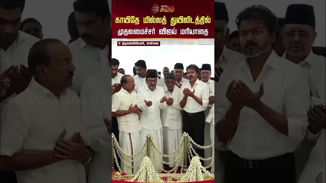 காய்த milath bday CM vijay #tvk #tvkelectionmanifesto #tvkvijay #thalapathy #vijay #tvknews #shots