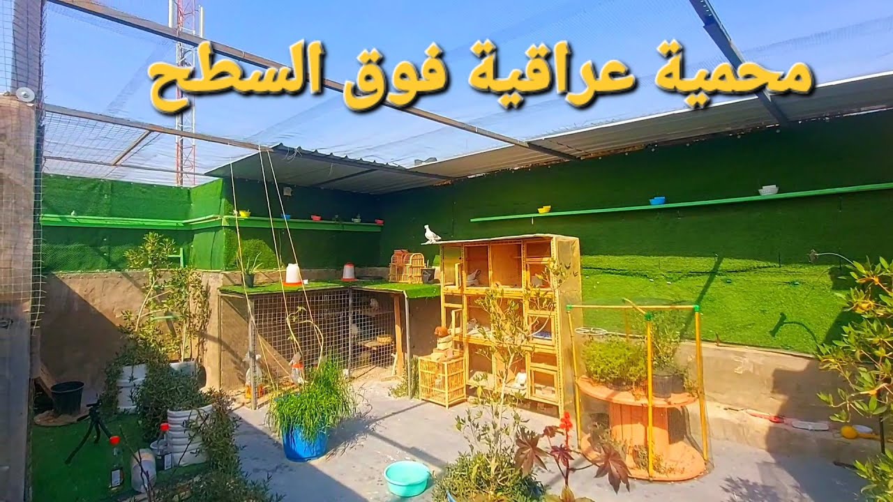 محمية عراقية فوق السطح /المحمية الجديدة