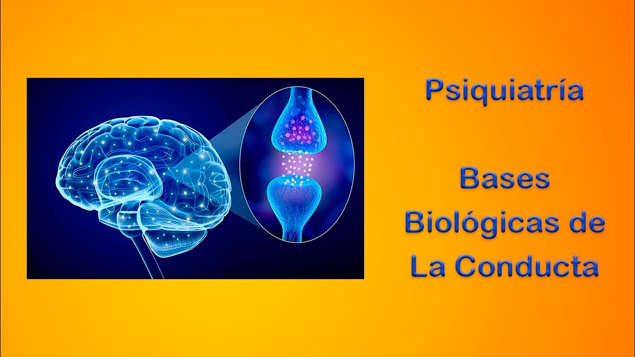 Psiquiatría, Bases biológicas de la Conducta