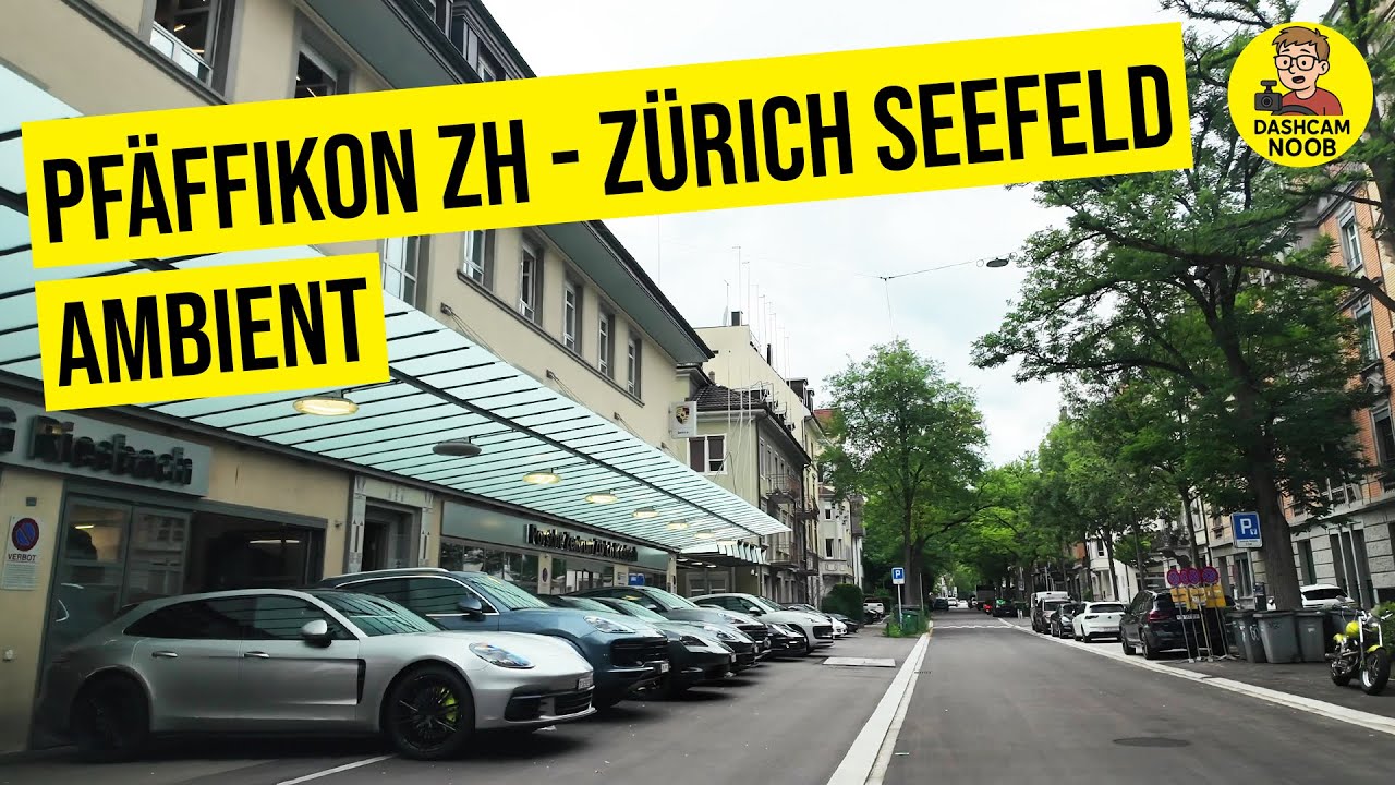 Pfäffikon ZH - Zürich Seefeld 🇨🇭 | Driving to beautiful Zürich | Ambient Music | 4K | #126