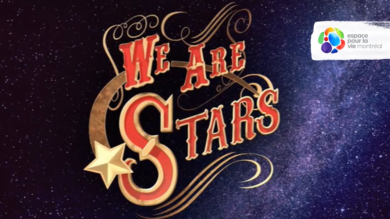 Trailer - We are stars at the Planétarium