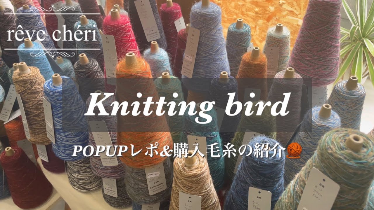 【毛糸購入品紹介】Knittingbirdポップアップで出会った“ときめきの糸”たち🧶｜工場糸との一期一会【YARN shopping haul】