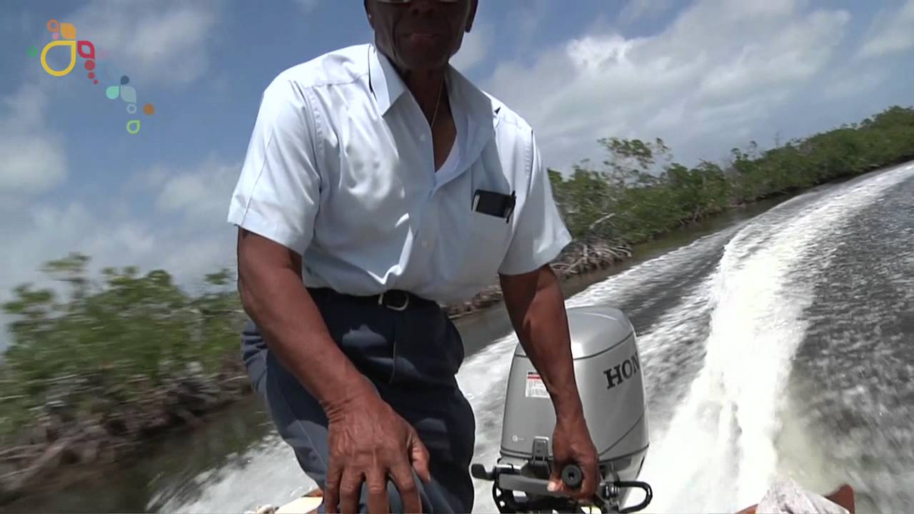Welcome to Bimini Island!