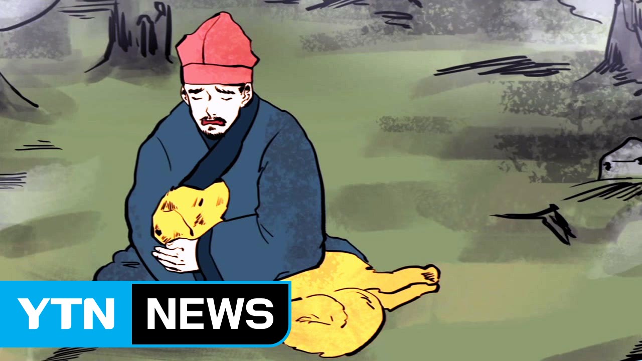 천년 느티나무로 환생한 개가 있다? / YTN
