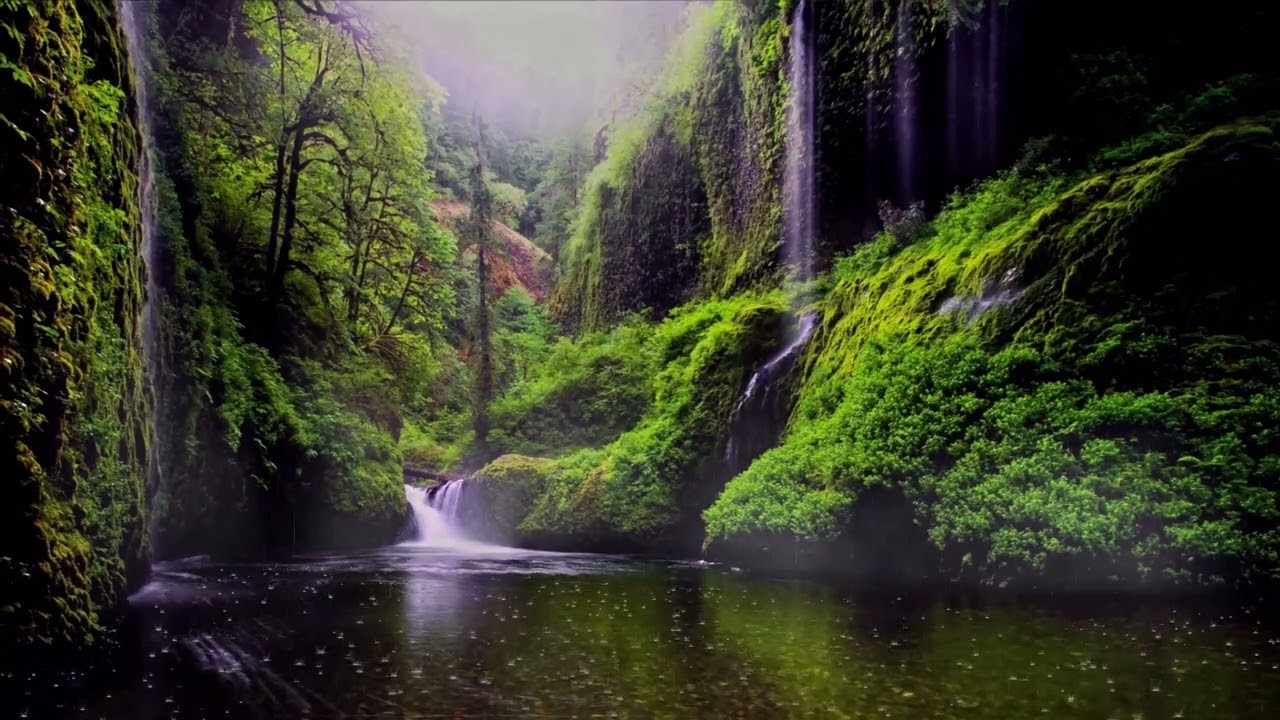 Relaxing Nature screensaver