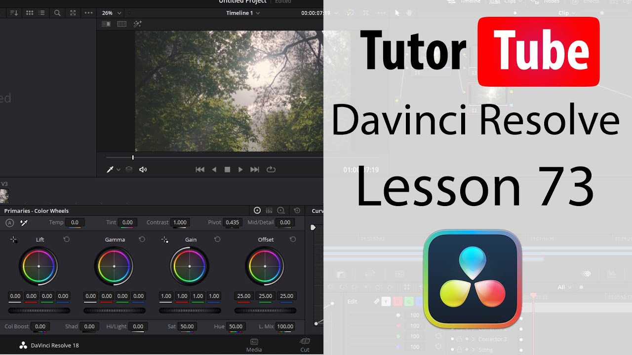 Davinci Resolve Tutorial - Lesson 73 - Scopes