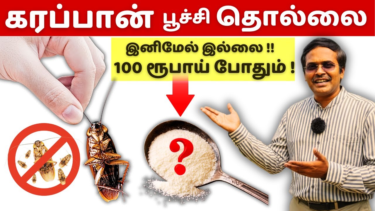 உங்கள் வீட்டு கரப்பான்பூச்சியை 100% அழிக்கலாம்! cockroach control home tips!