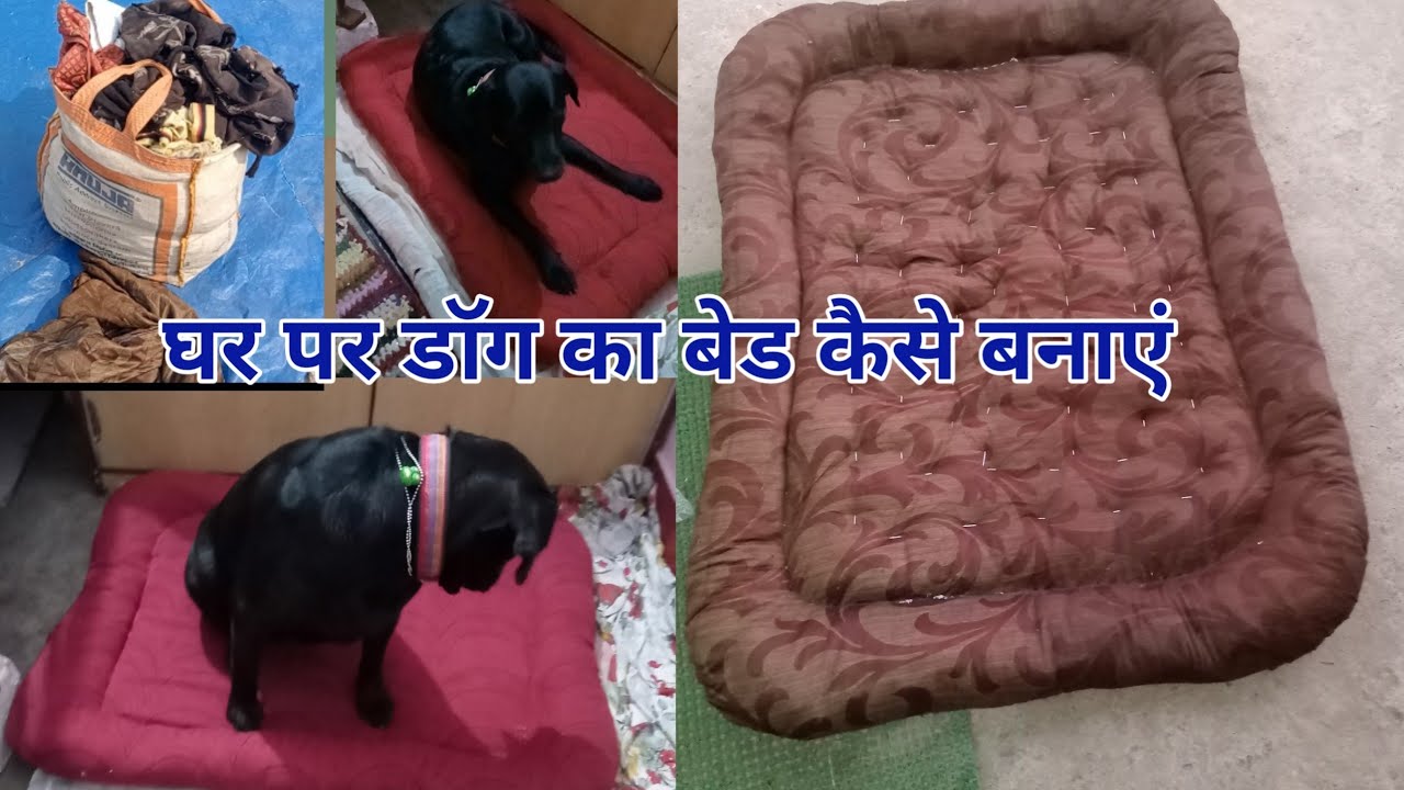 DIY Easy Dog Bed -Pet Bed From Home 🏠 डॉग का बेड कैसे बनाएं घर पर #dogbed #dog #bed jimmy