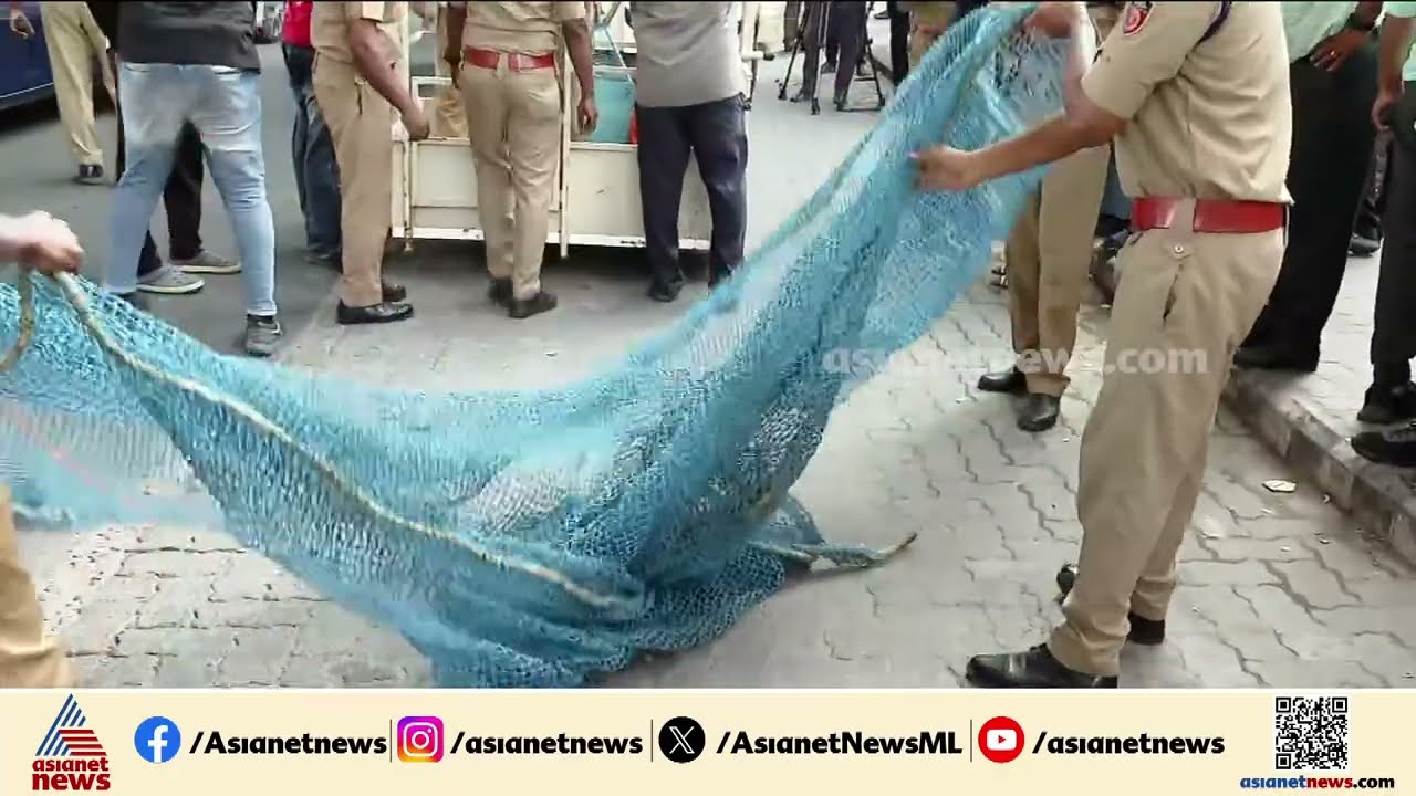 പൂച്ച സാർ സേഫാണ് ! കൊച്ചി മെട്രോ പില്ലറിനുള്ളിലൂടെ ഓടിക്കളിച്ച് സുഭാഷ്, രക്ഷാദൗത്യം 11.30 ന് ശേഷം