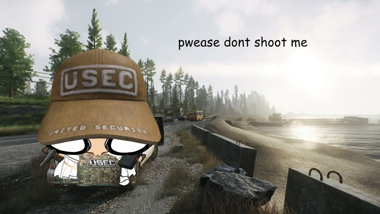 【EFT PVP】his head just did that officer I promise