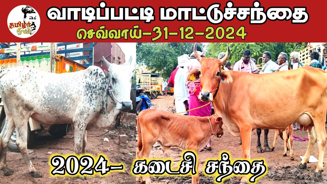 31-12-2024/ வாடிப்பட்டி மாட்டுச்சந்தை மதுரை / செவ்வாய்க்கிழமை