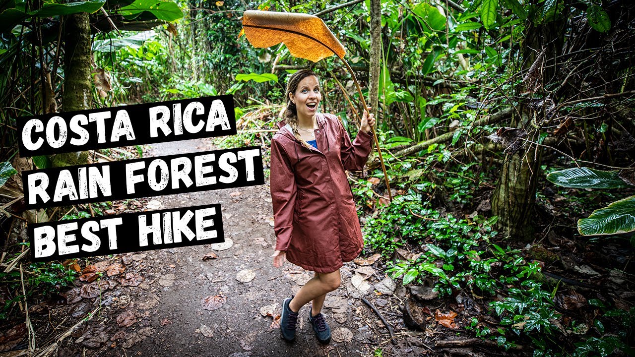 RAINFOREST Tour Costa Rica in the TORTUGUERO National Park (HIKE and CANOE Adventure)